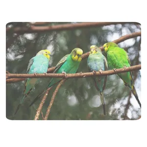 ماوس پد طرح مرغ عشق کد B304