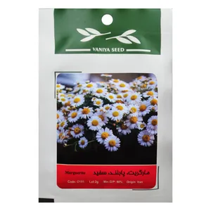 بذر گل مارگریت پابلند سفید وانیا سید مدل O191
