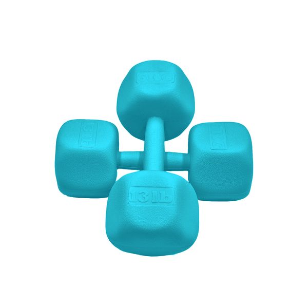 دمبل رادیس فیت مدل RFP-6 Power وزن 6 کیلوگرم بسته بندی دو عددی