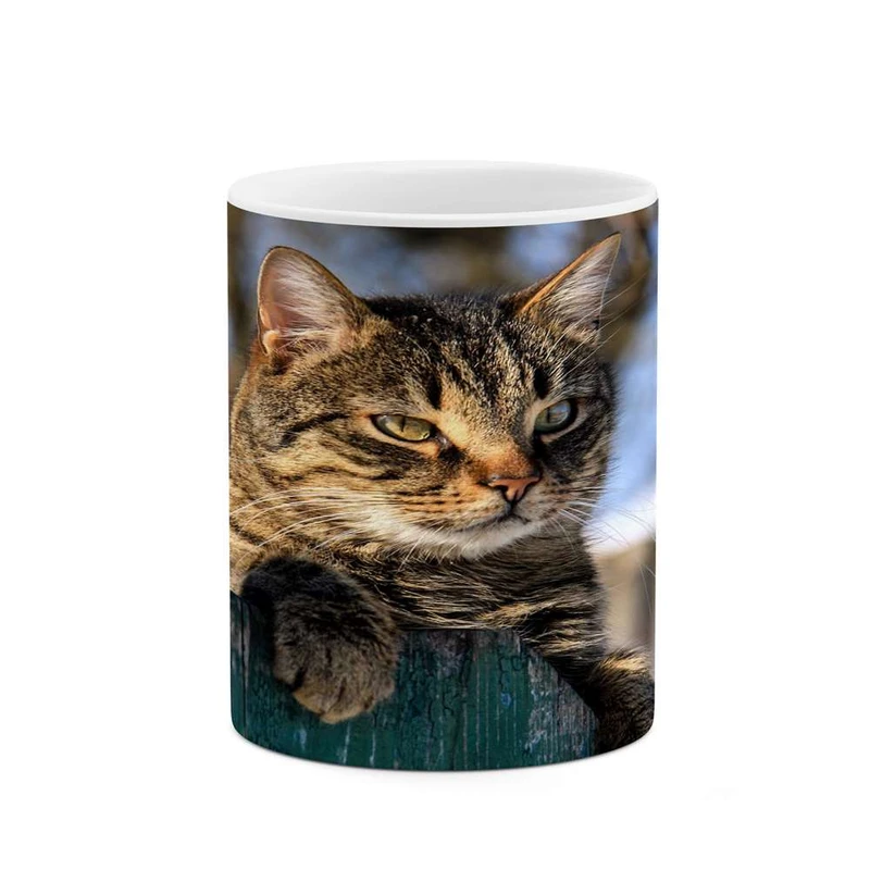 ماگ کاکتی مدل گربه کد mgh16582