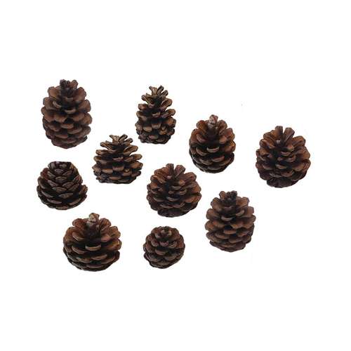 دکوری مدل میوه کاج مجموعه 10 عددی