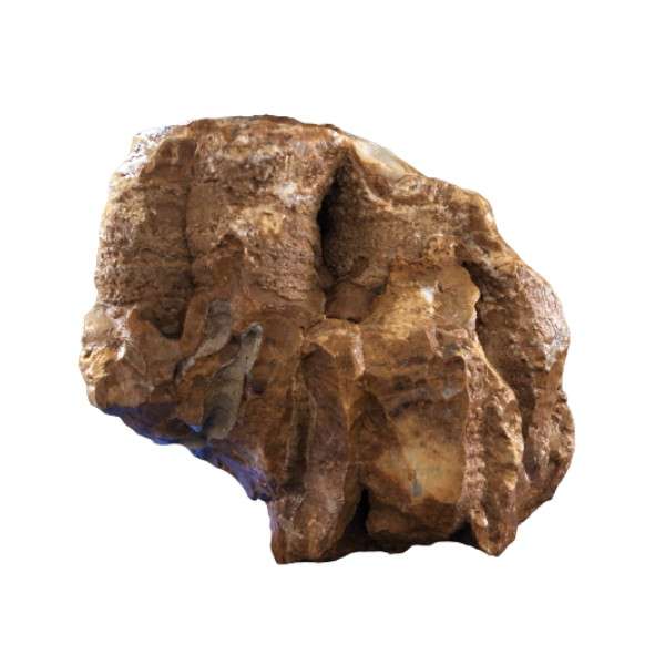 سنگ تزیینی آکواریوم مدل u-1