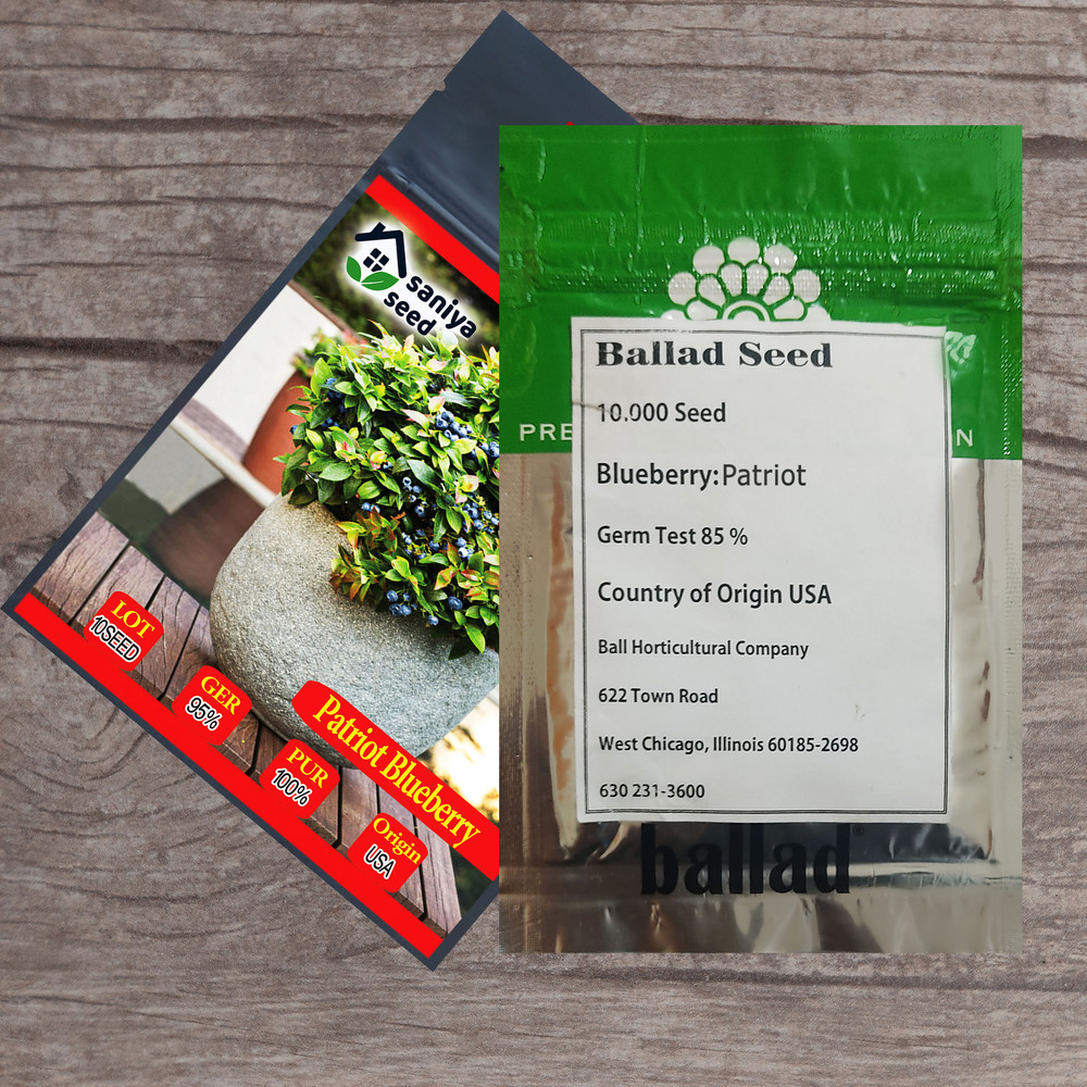 بذر بلوبری پاتریوت سانیا سید مدل B3 بذر بلوبری پاتریوت سانیا سید مدل B3