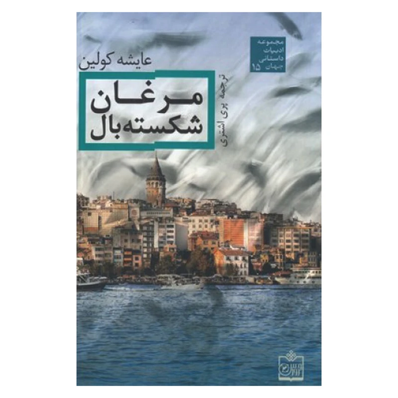 کتاب مرغان شکسته بال اثر عایشه کولین انتشارات فروزش