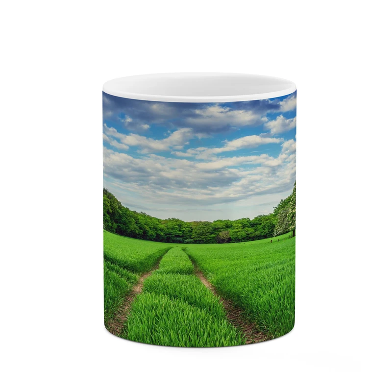 ماگ کاکتی مدل منظره کد mgh17779