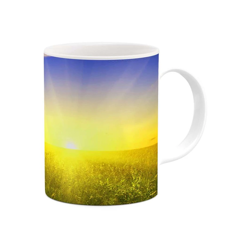 ماگ کاکتی مدل منظره کد mgh10849