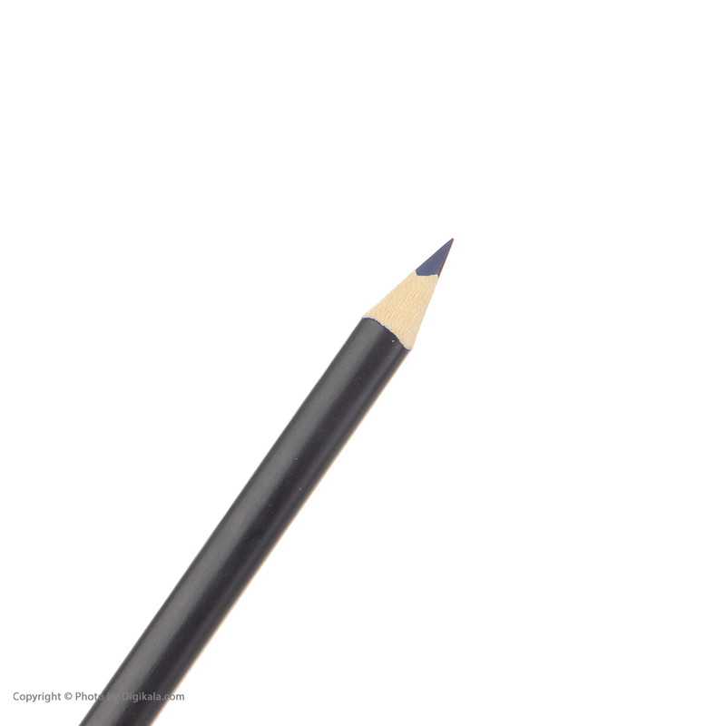 مداد رنگی 24رنگ پادیلوت مدل F-80224-1