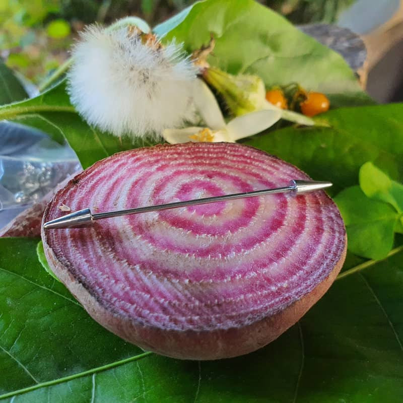 پیرسینگ گوش زنانه پایتخت مدل PS300 پیرسینگ گوش زنانه پایتخت مدل PS300