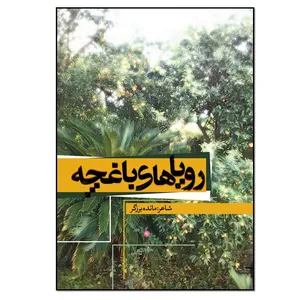 کتاب رویاهای باغچه اثر مائده برزگر انتشارات نسل روشن