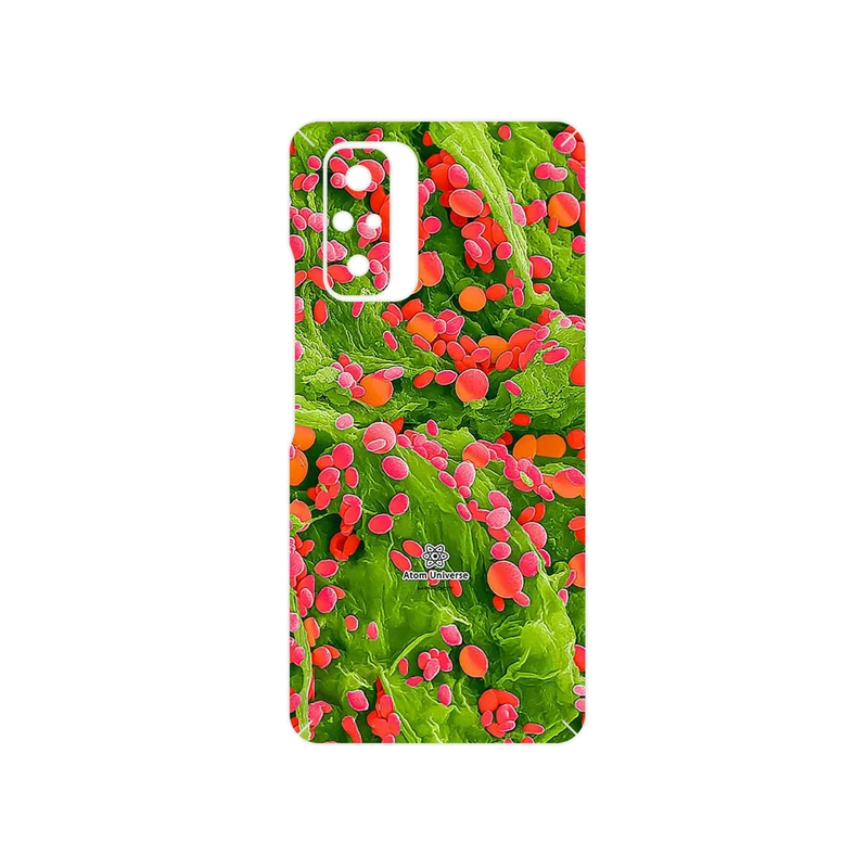 برچسب پوششی ماهوت مدل Atom Universe 3 مناسب برای گوشی موبایل شیائومی Redmi Note 10 Pro