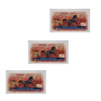 چسب ضد درد کنسین مدل اسبی مجموعه 3 عددی