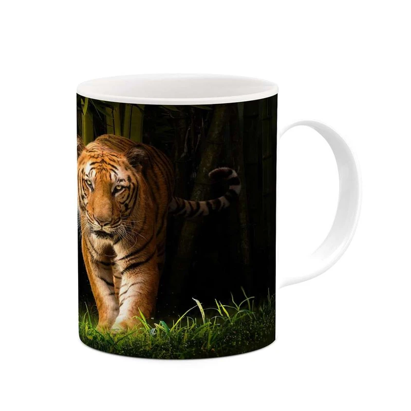 ماگ کاکتی مدل ببر کد mgh14285