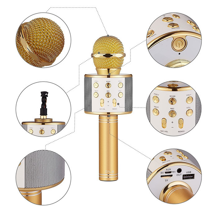 میکروفون اسپیکر مدل WS-858 Godfrey