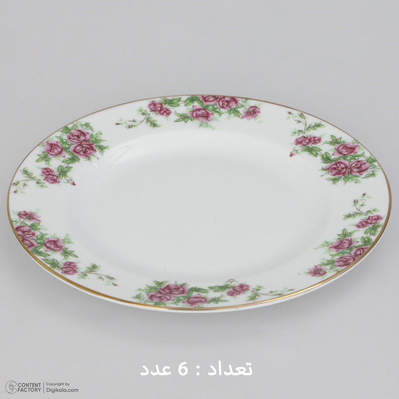 سرویس غذاخوری 28 پارچه چینی زرین ایران سری ایتالیا اف مدل Bidgol درجه یک سرویس غذاخوری 28 پارچه چینی زرین ایران سری ایتالیا اف مدل Bidgol درجه یک