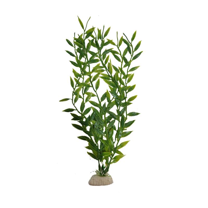 گیاه تزیینی آکواریوم مدل 30