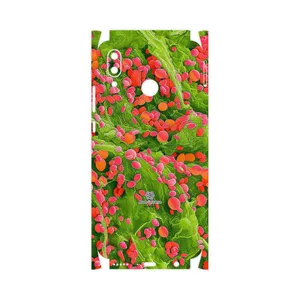 MAHOOT Atom Universe 3-FullSkin Cover Sticker for Huawei Nova 3