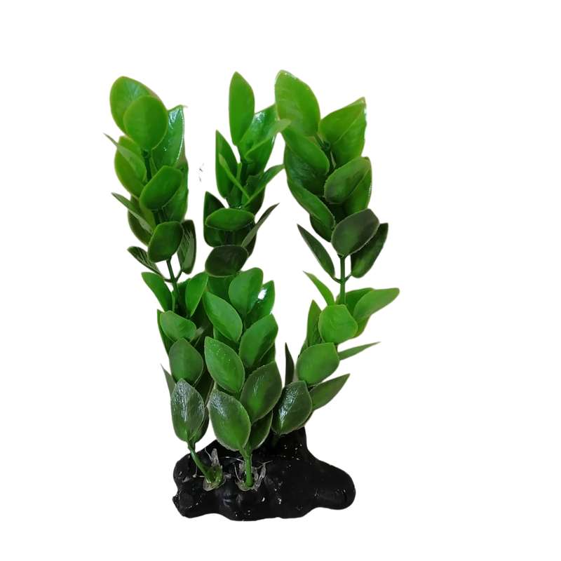 گیاه تزیینی آکواریوم مدل گلبرگ 17