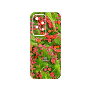 MAHOOT Atom Universe 3 Cover Sticker for Honor 200 Lite