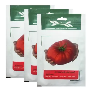 بذر گوجه غول بوته ای وانیا سید کد G80 مجموعه 3 عددی 
