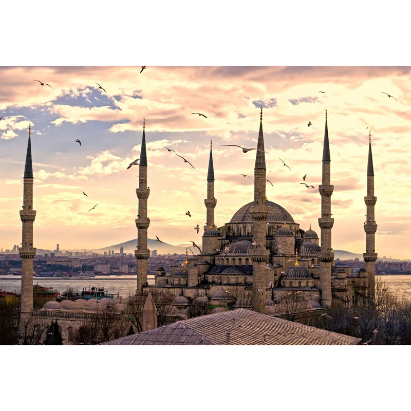 تابلو شاسی مدل مسجد سلطان احمد استانبول T7219