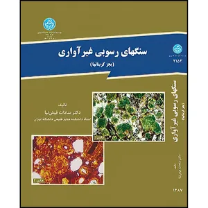 کتاب سنگهای رسوبی غیر آواری اثر سادات فیض نیا انتشارات دانشگاه تهران