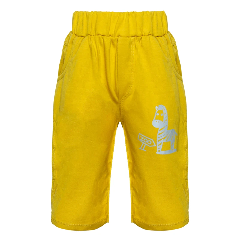 عکس شماره 4 : ست تی شرت و شلوارک پسرانه مدل zzz رنگ زرد