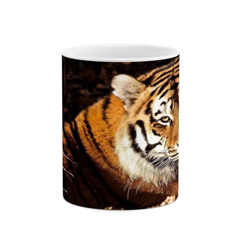 ماگ کاکتی مدل ببر کد mgh11179