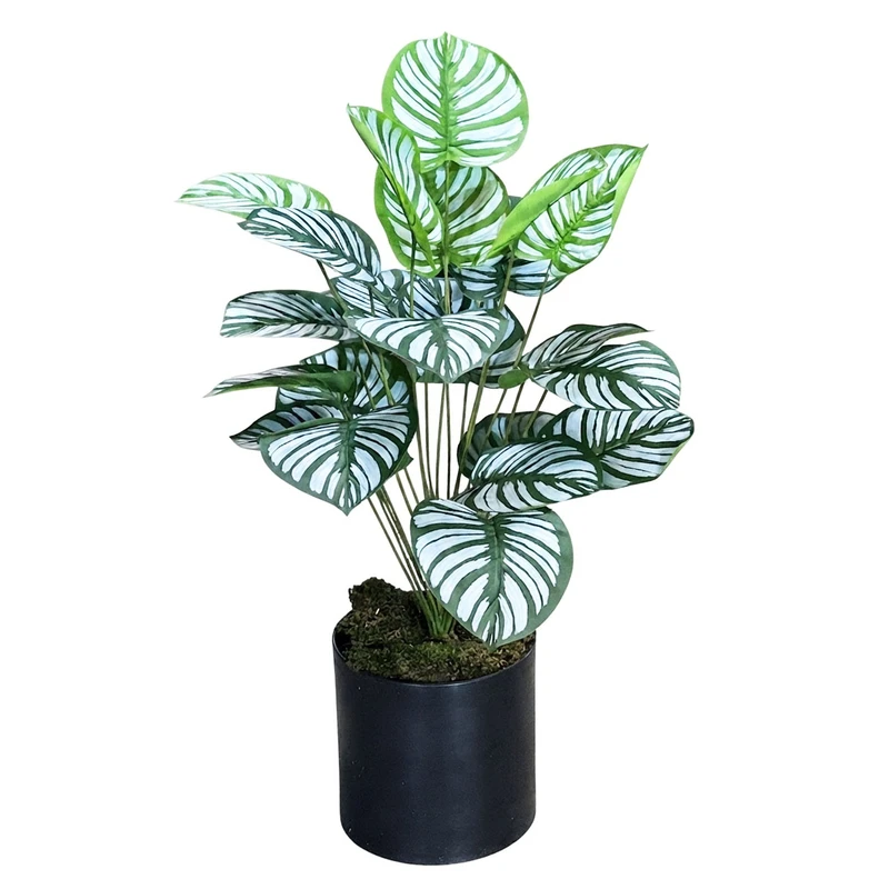 گلدان به همراه درختچه مصنوعی مدل مارانتا 24 برگ و زینو کد 24، ایستاده، با ابعاد 22x22x90 سانتی‌متر 