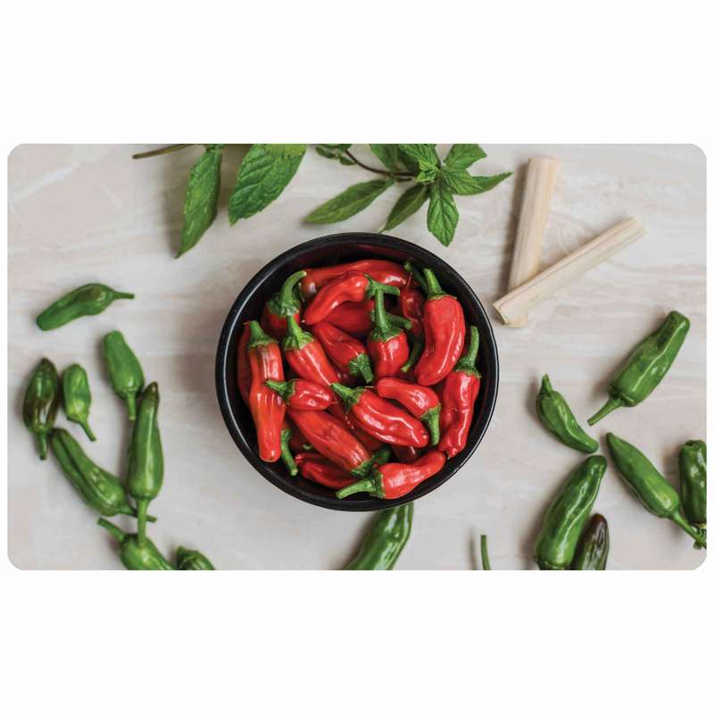 پادری طرح ظرف فلفل مدل 2620 سایز 76x46 سانتی متر