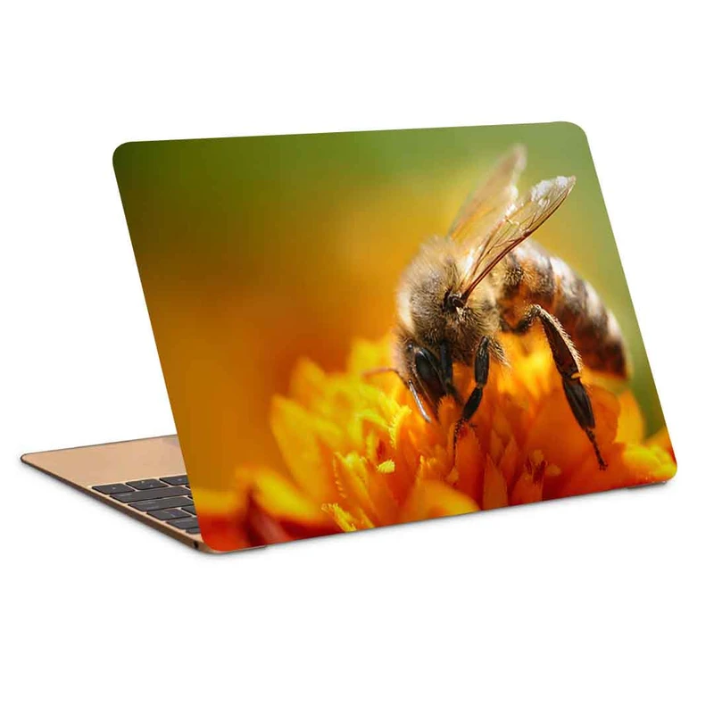 استیکر لپ تاپ طرح bee-13 کد P-616 مناسب برای لپ تاپ 15.6 اینچ