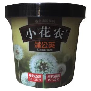 مجموعه کاشت گل قاصدک مدل dan