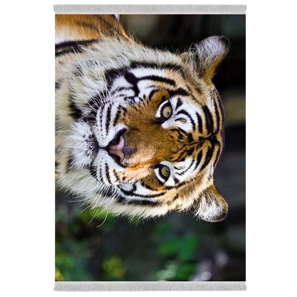 فرش پارچه‌ای دفه مدل فرشینه شانل مخمل طرح فانتزی کد 7036