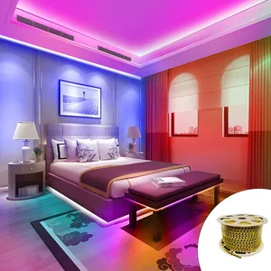 ریسه ال ای دی مدل شلنگی کد 5730 به همراه رابط ریسه طول 50 متری