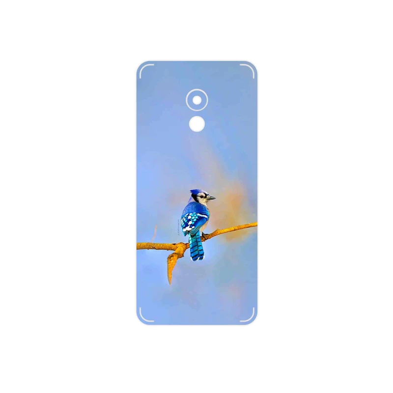 برچسب پوششی ماهوت مدل Cyanocitta cristata مناسب برای گوشی موبایل میزو Pro 6
