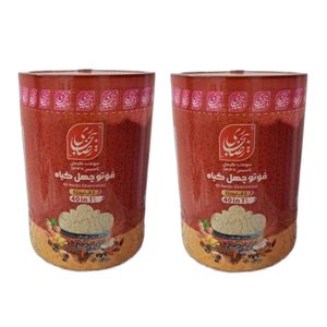 قوتو چهل گیاه ممتاز رضا بیجاری کرمان - 600 گرم بسته 2 عددی 