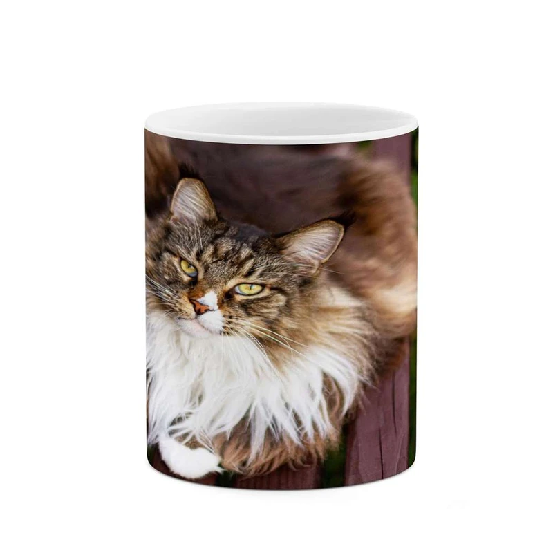 ماگ کاکتی مدل گربه کد mgh16514