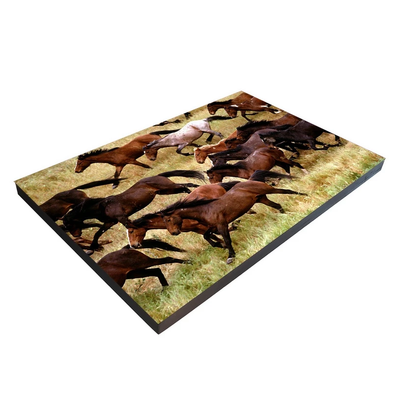 تابلو شاسی بکلیت طرح دشت و اسب مدل SH-7531