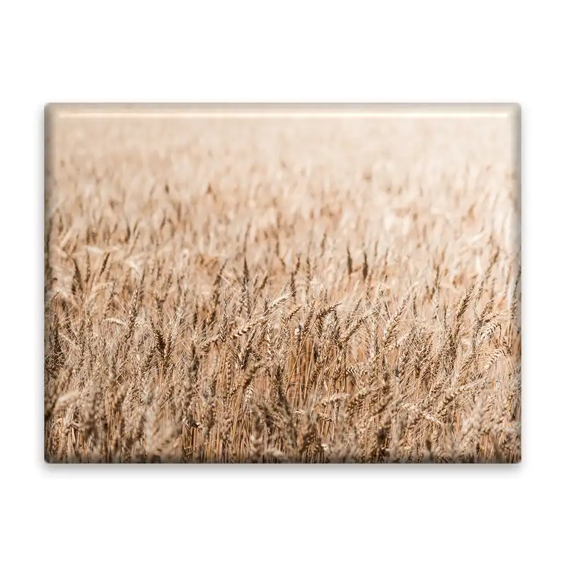 کاشی اطلس آبی طرح مزرعه گندم مدل T1935