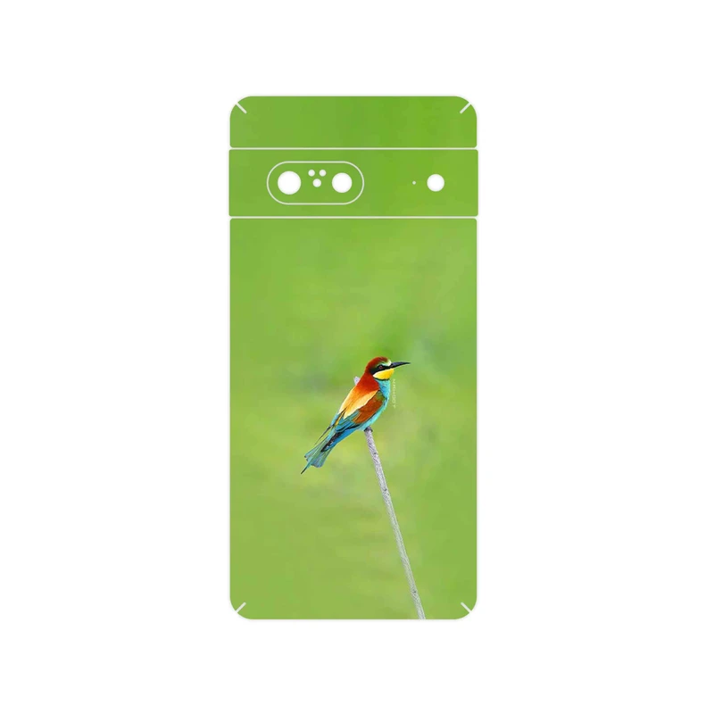 برچسب پوششی ماهوت مدل European bee-eater مناسب برای گوشی موبایل گوگل Pixel 7