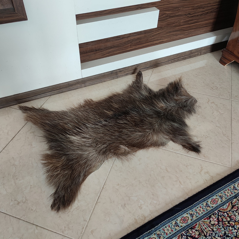 فرش پوست مدل PB4900