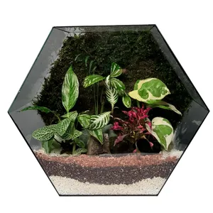 تراریوم ترارتوس مدل 09