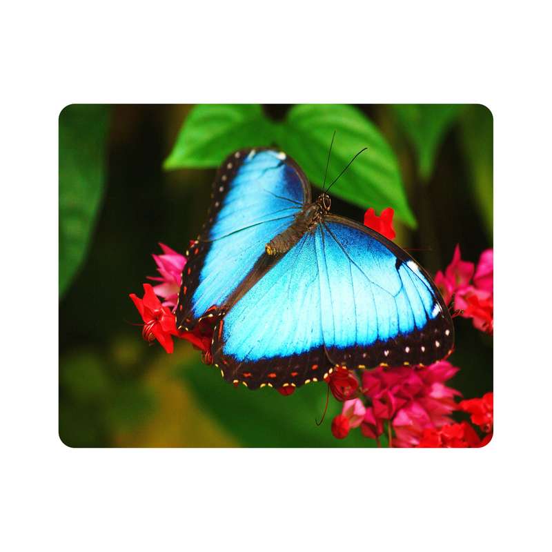 ماوس پد اطلس آبی  طرح  پروانه و گل مدل T7184