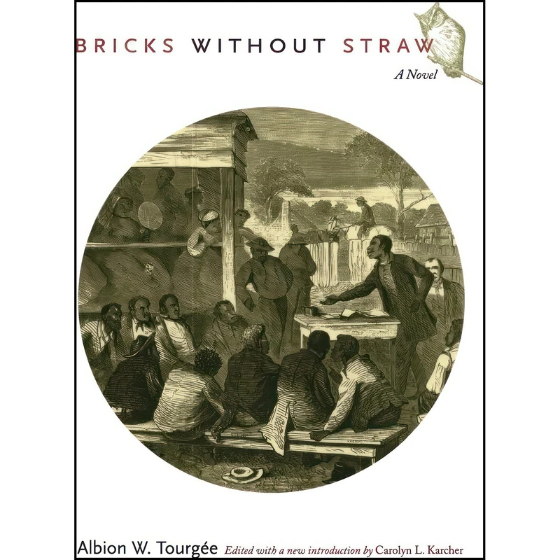 کتاب Bricks Without Straw اثر جمعي از نويسندگان انتشارات تازه ها