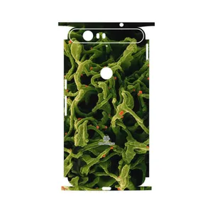 MAHOOT Atom Universe 2-FullSkin Cover Sticker for Google Nexus 6P