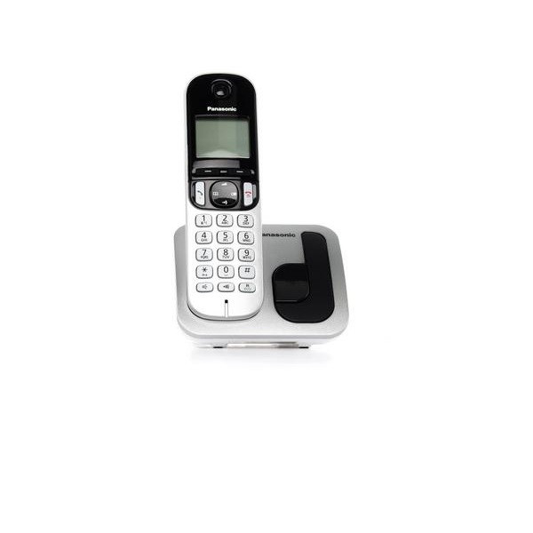 تلفن پاناسونیک مدل KX-TGC213 1