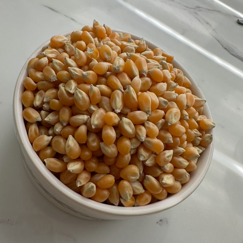ذرت پاپ کورن ممتاز جالینوس - 300 گرم