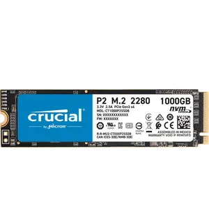  اس اس دی اینترنال کروشیال  مدل P2 ظرفیت 1 ترابایت