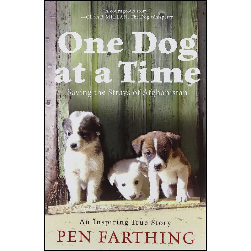 کتاب One Dog at a Time اثر Pen Farthing انتشارات Thomas Dunne Books