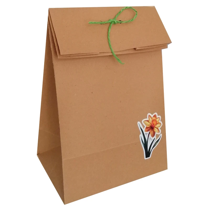 پاکت هدیه مدل عید نوروز و گل نرگس مجموعه 10 عددی