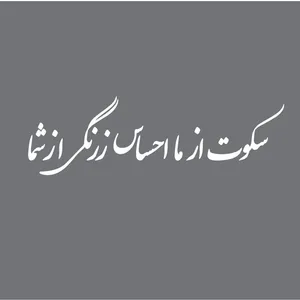 برچسب بدنه خودرو طرح سکوت از ما احساس زرنگی از شما کدS